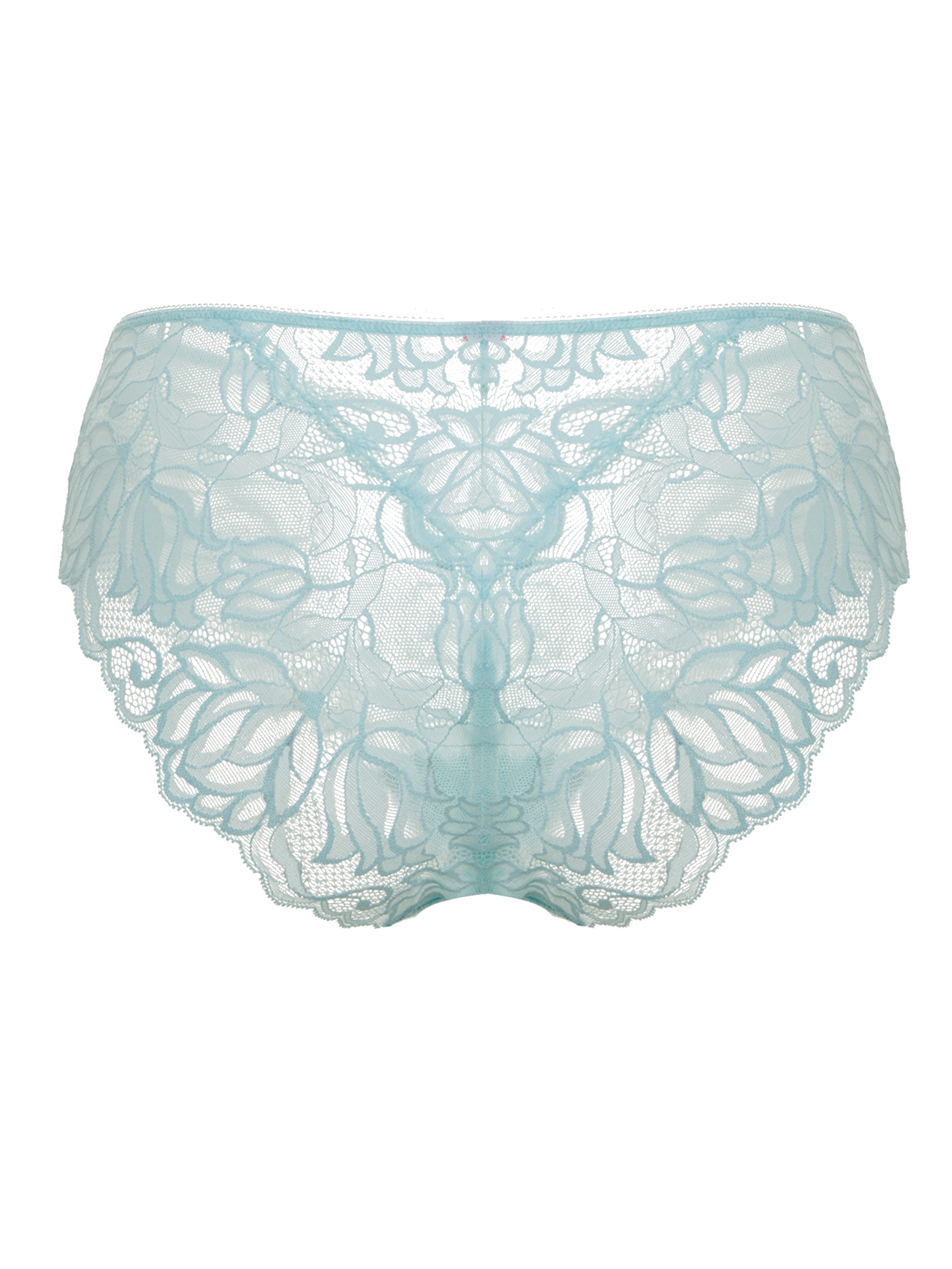 Трусы слип Светло-ментоловый 2631F2201L | фото 4