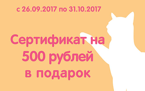 Сертификат на 500 р. в подарок при покупке от  2000 руб