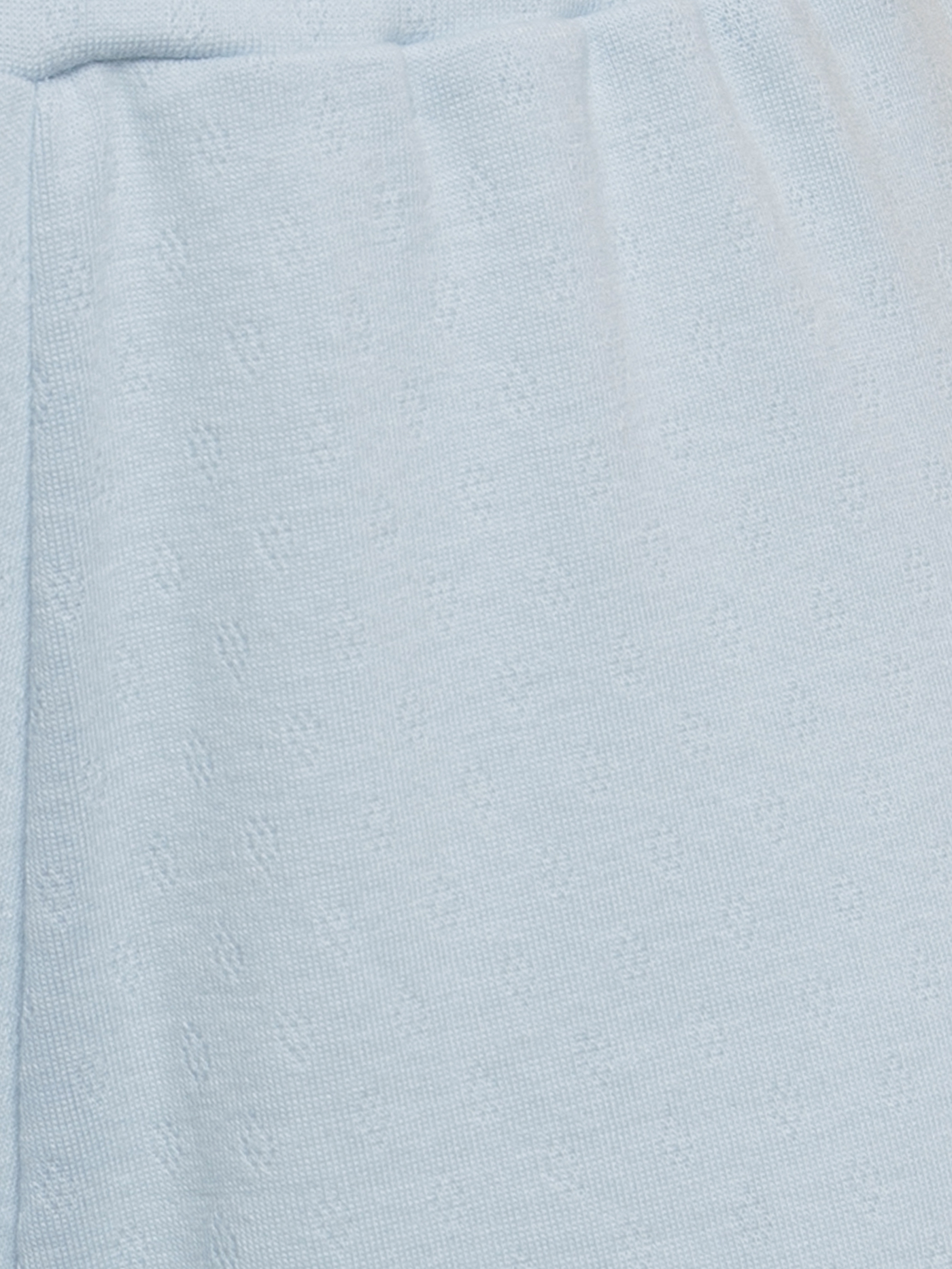 Шорты Голубой PRR-0106SH | фото 4