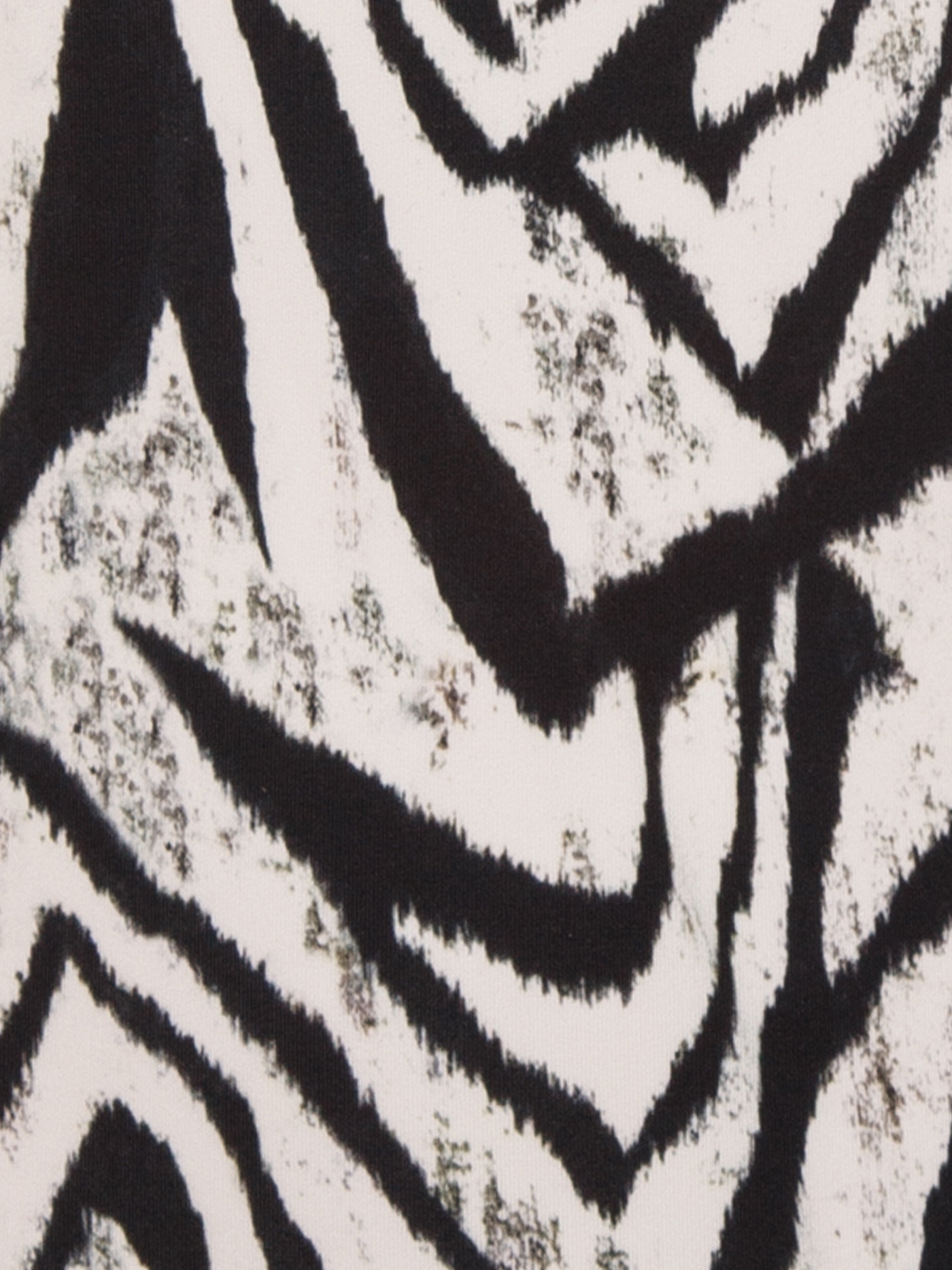 Купальник слитный push-up Принт зебра PRT-1006 | фото 3