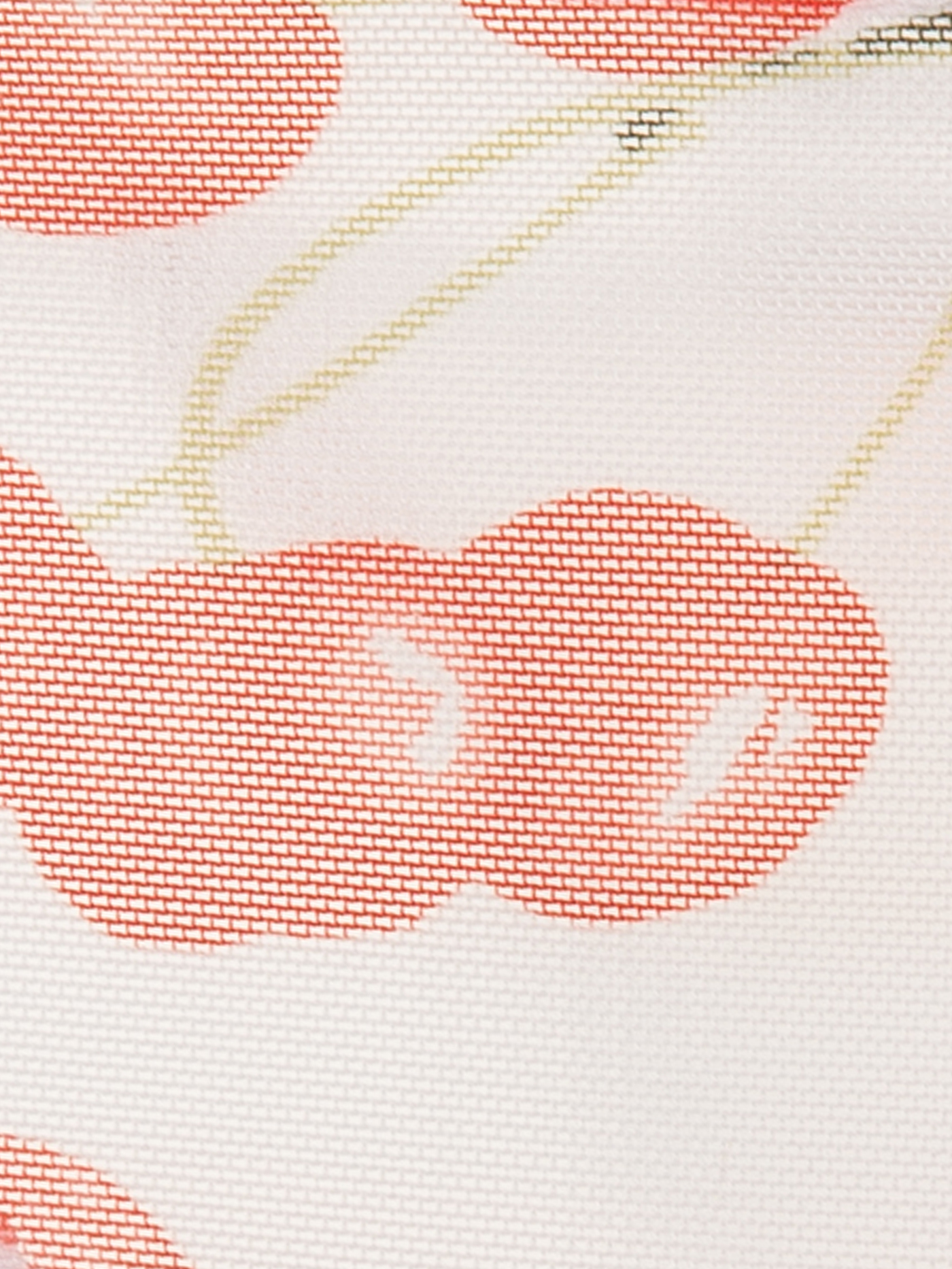 Трусы стринг Принт ботаника 3076F2113 | фото 3