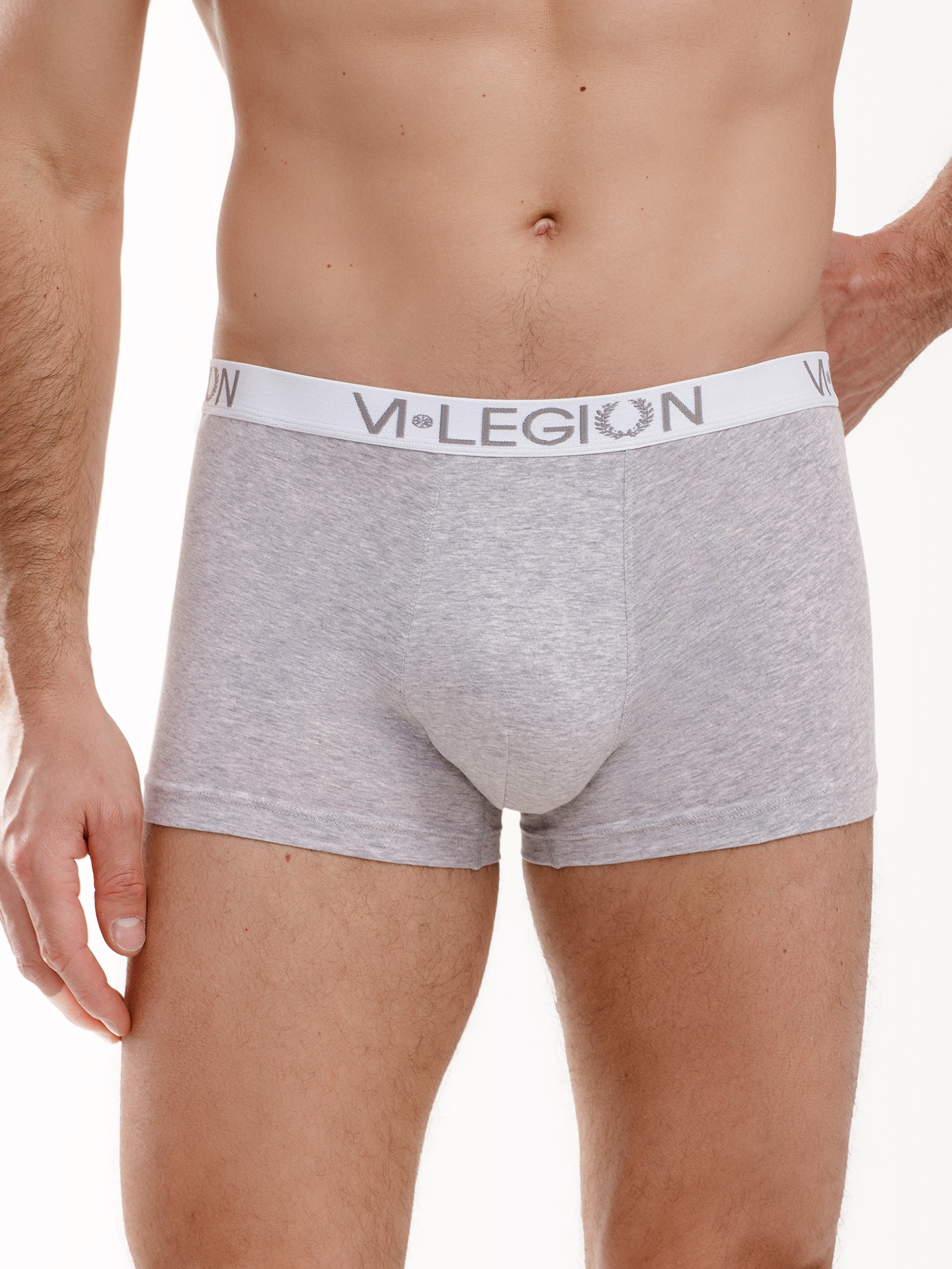 Трусы боксеры мужские Светло-серый 3030F6301_1 | фото 4