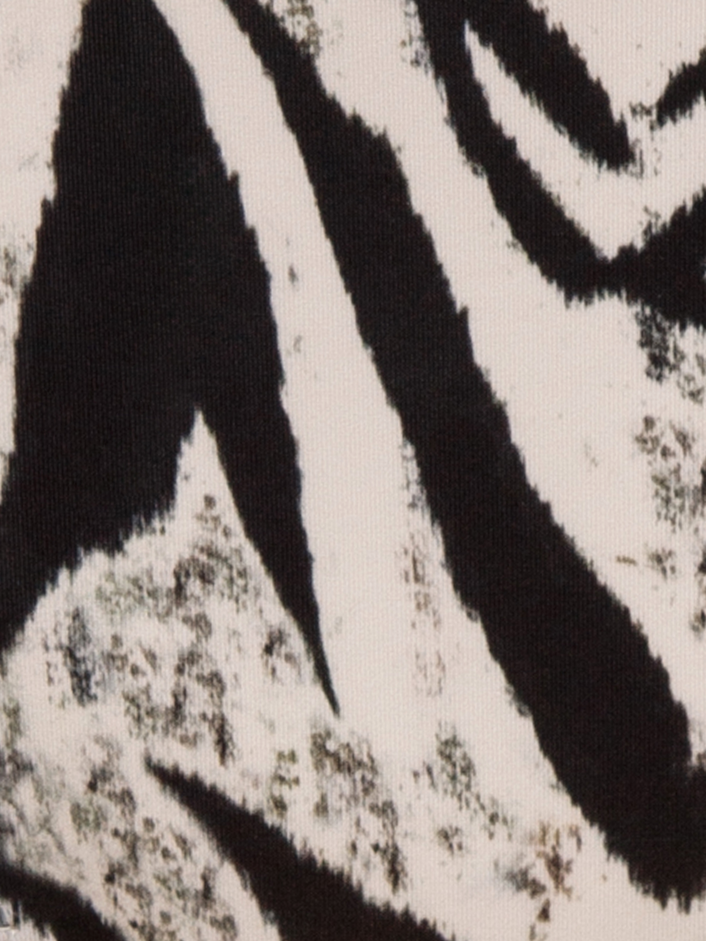 Плавки хипстер Принт зебра 2932S2901_2K | фото 3