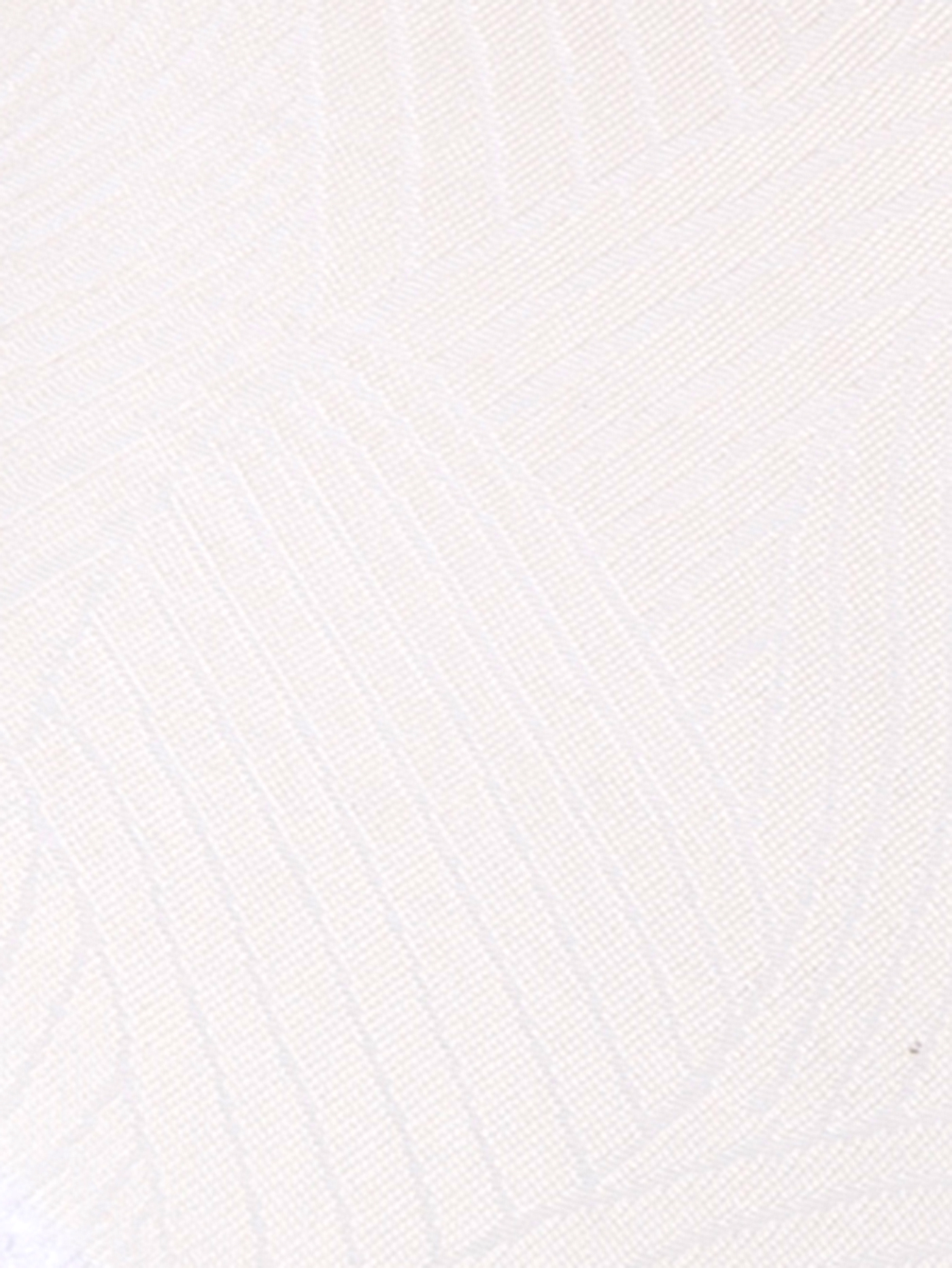 Трусы слип Белый 3002F2201 | фото 2