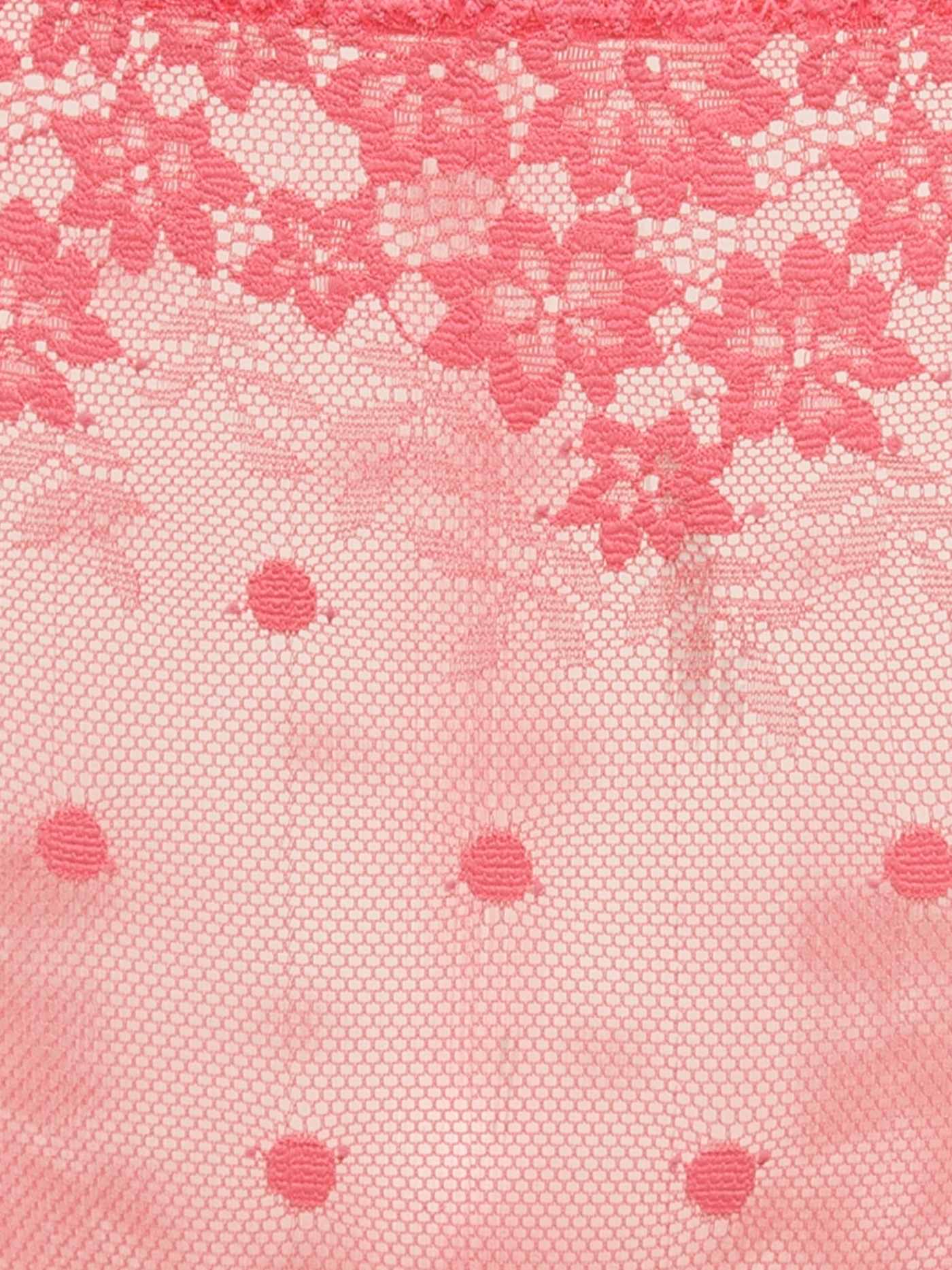 Трусы слип Розовый DE1101BF | фото 4