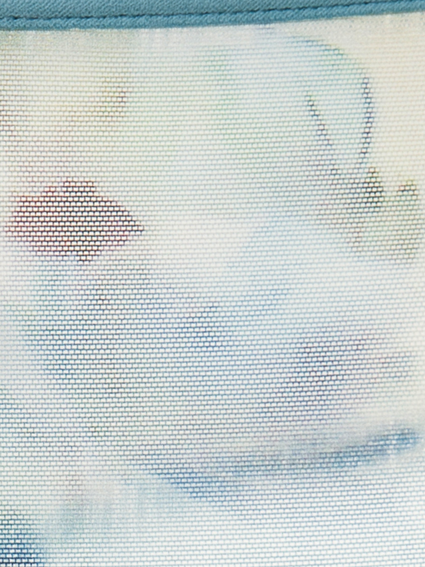 Трусы стринг Принт цветы FR-5 | фото 5