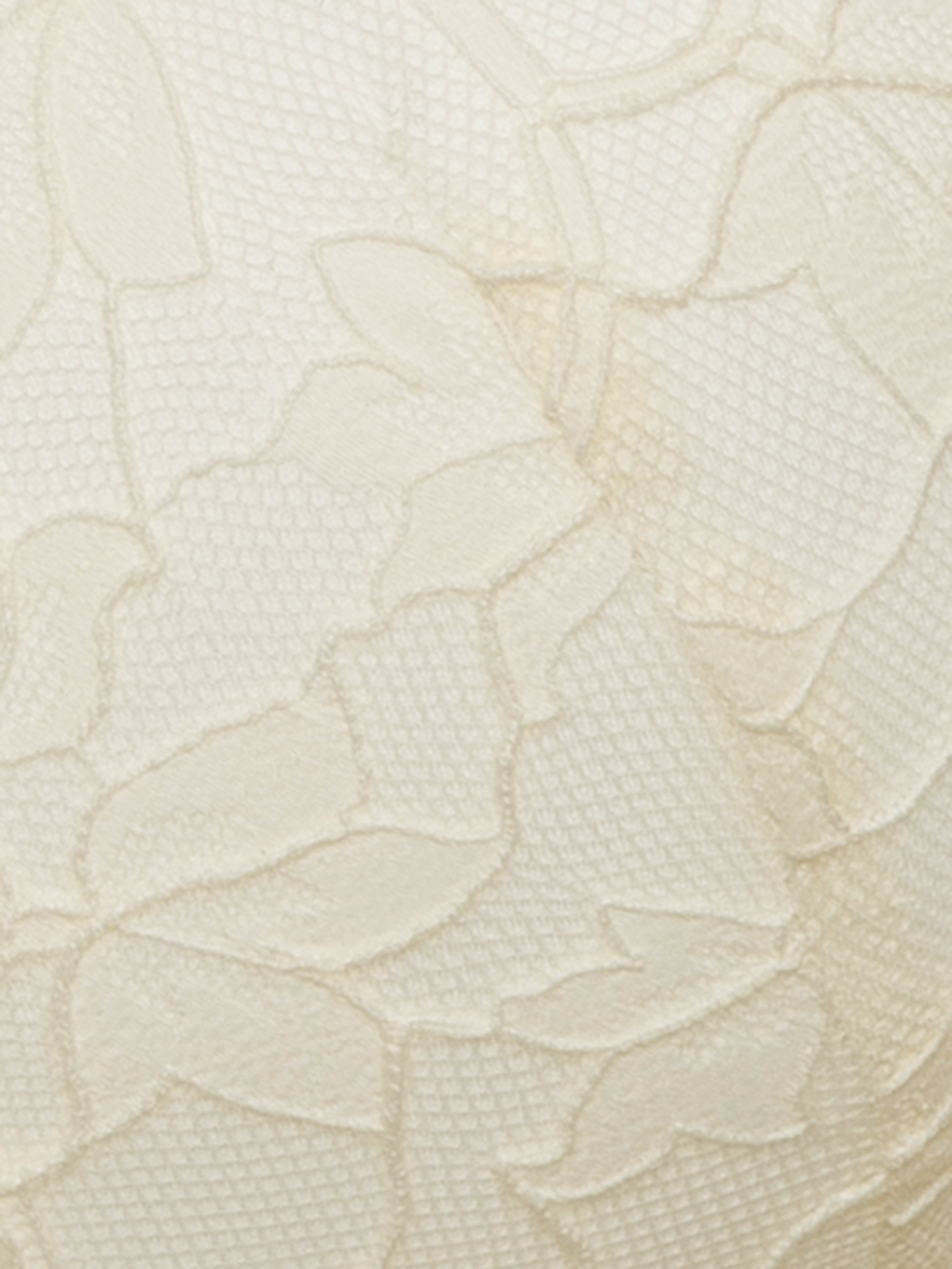 Бюстгальтер t-shirt Айвори 3016F1403L | фото 1