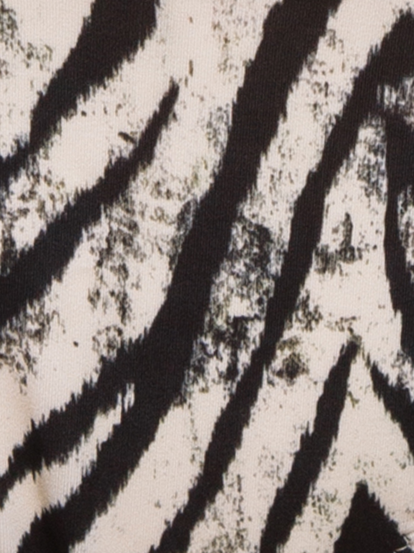 Плавки бикини Принт зебра PRT-1006BK | фото 3