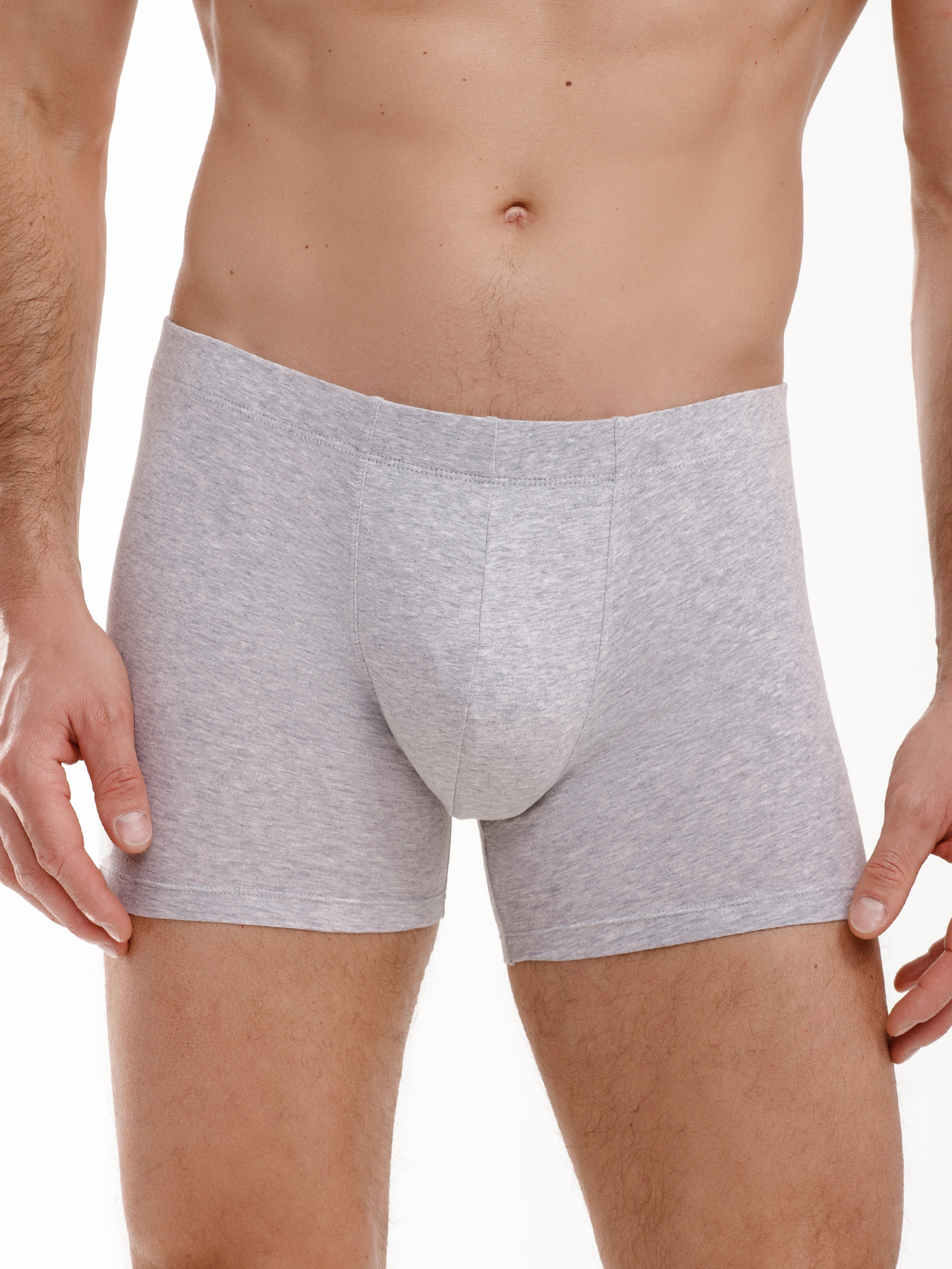 Трусы боксеры мужские Светло-серый 3030F6302_1 | фото 3