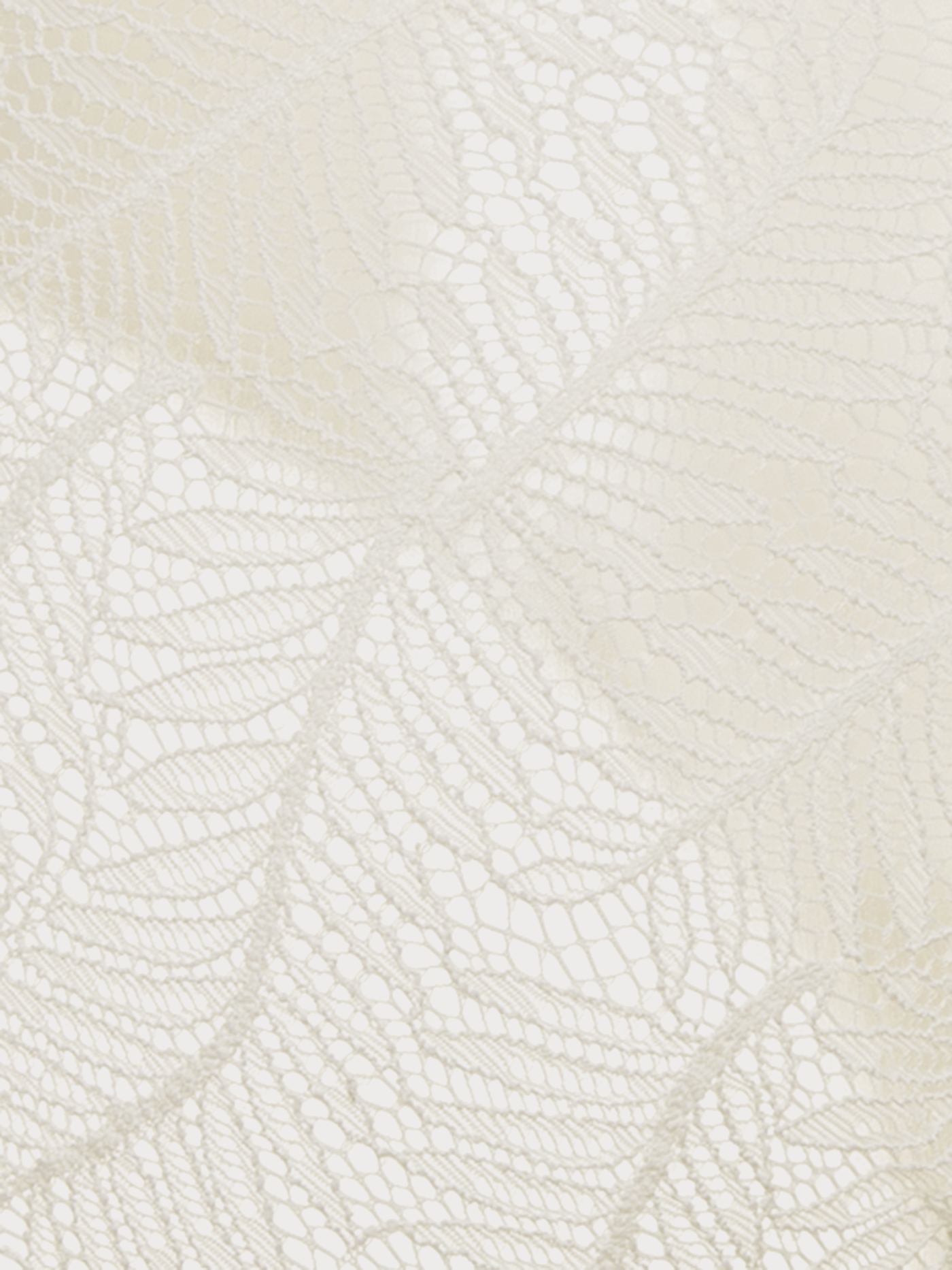 Трусы слип Экрю 2884F2202 | фото 2