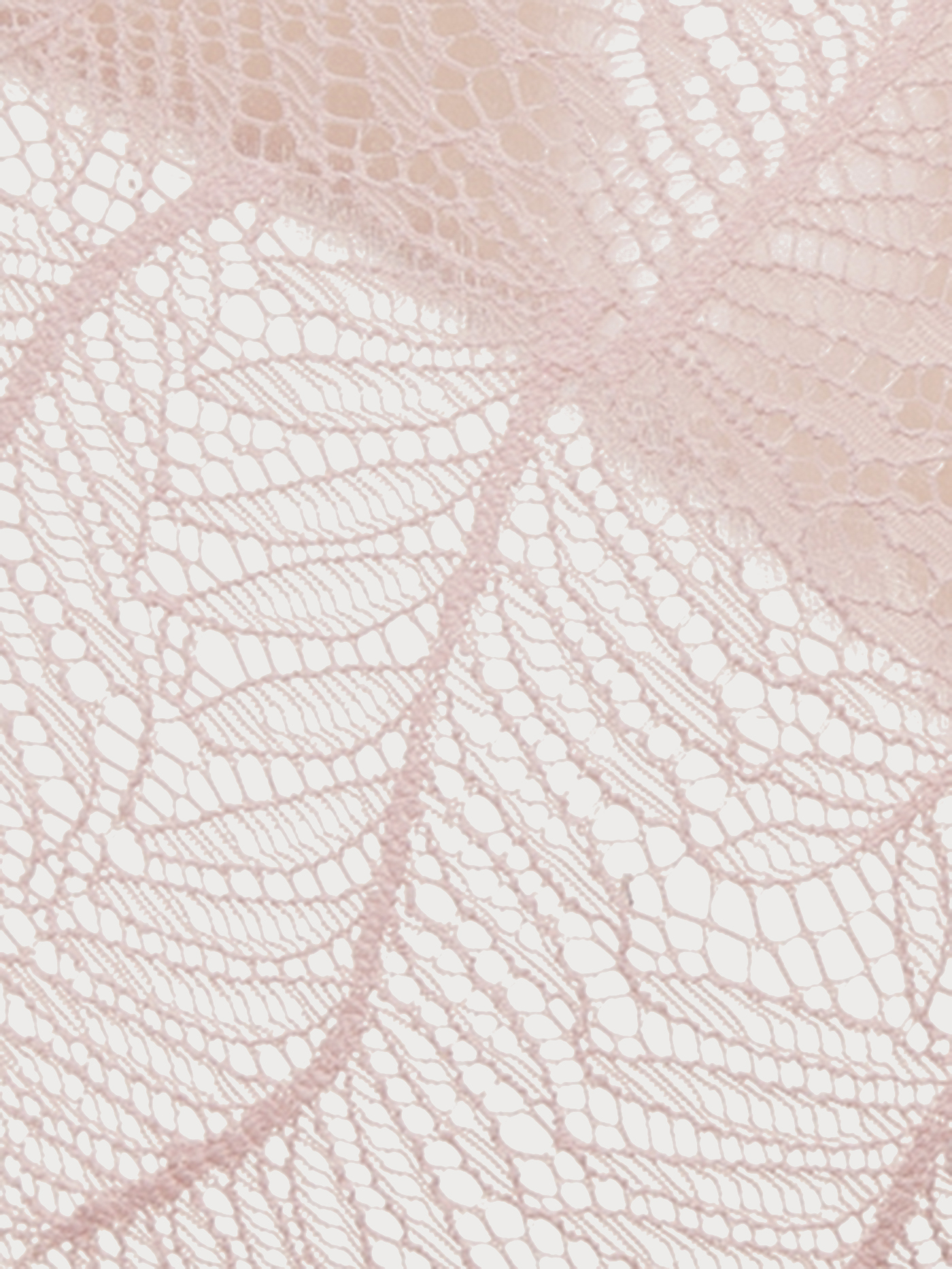 Трусы слип Пудровый 2884F2202 | фото 3