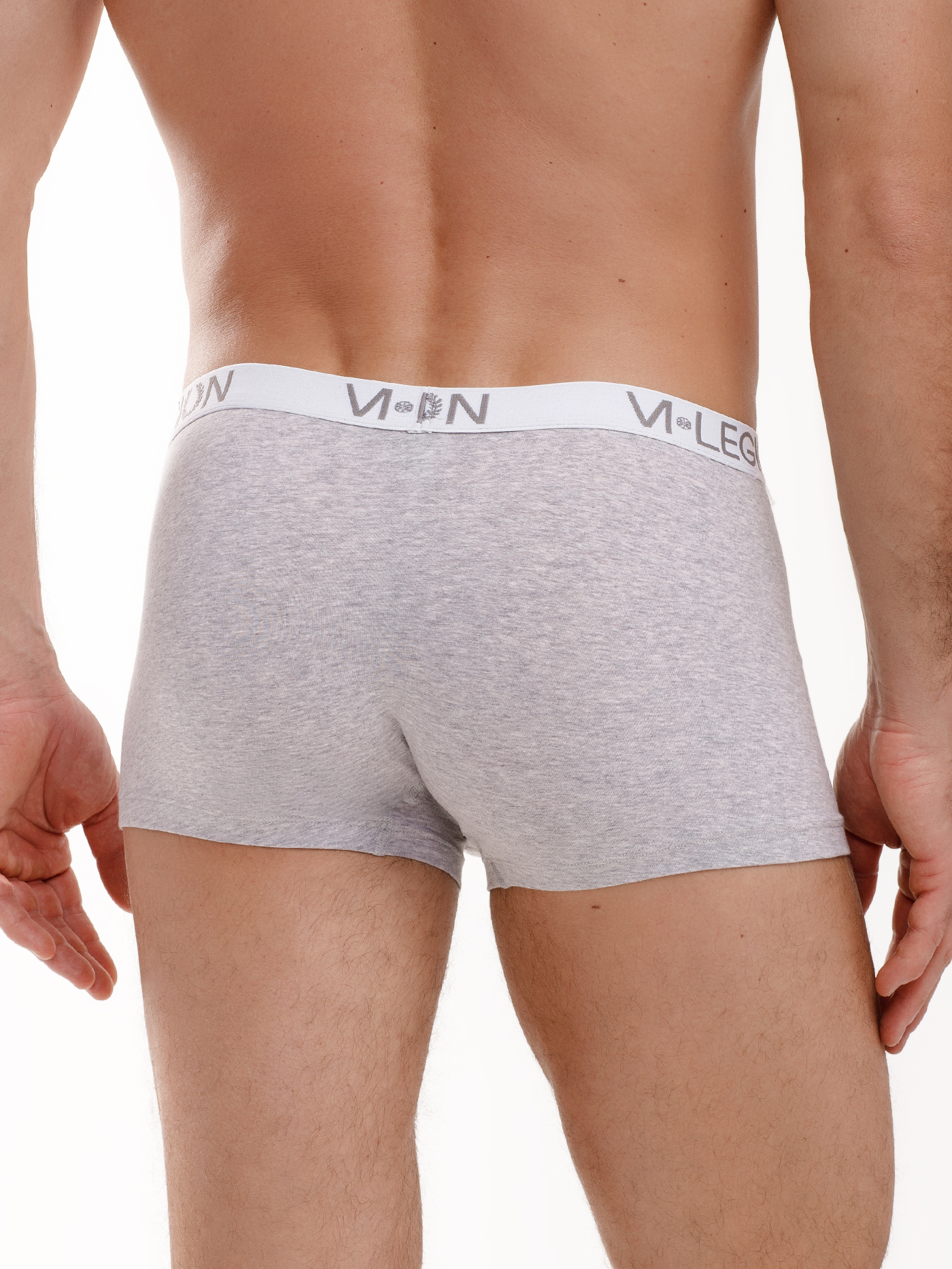 Трусы боксеры мужские Светло-серый 3030F6301_1 | фото 5