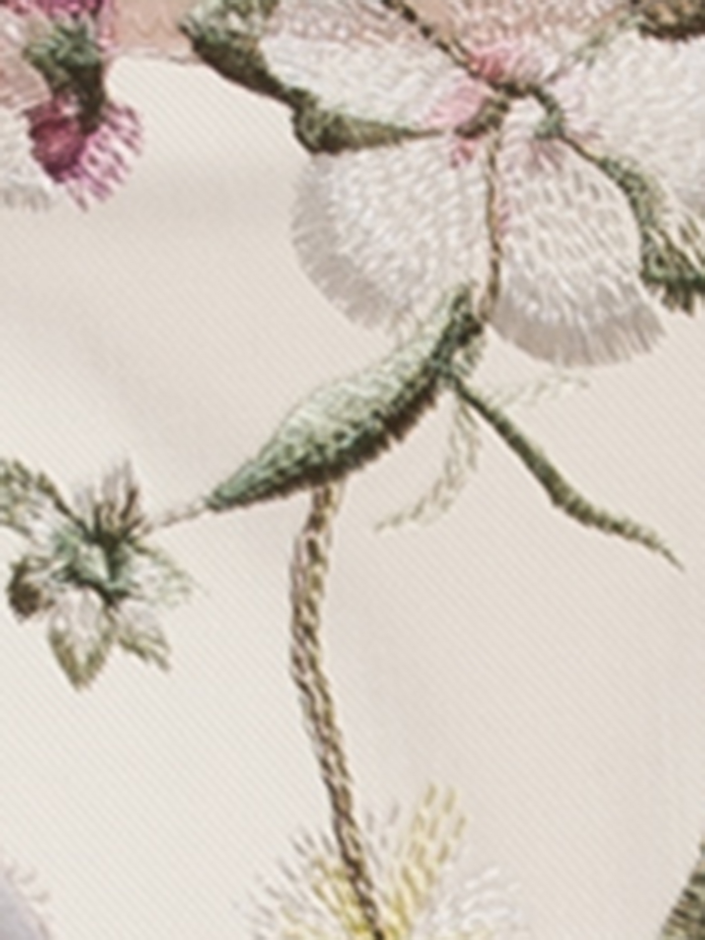 Трусы стринг Принт цветы BLQ-1105TH | фото 2