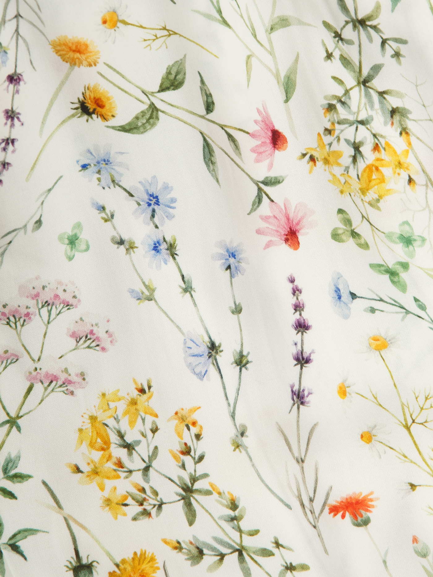 Брюки Принт ботаника PAR-01 | фото 4